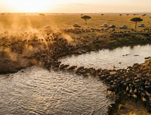 Kenya