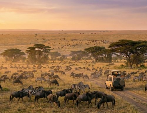 Tanzania